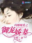 总裁宠妻至上