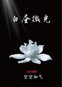白昼微光沈峥最后结局