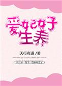 爱妃意思