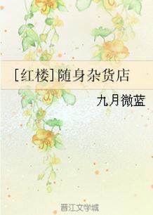 红楼随身杂货店