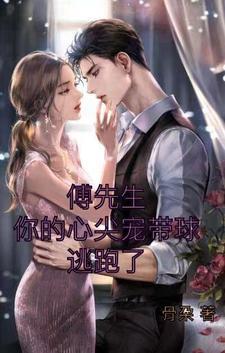 傅先生他的心尖宠免费阅读