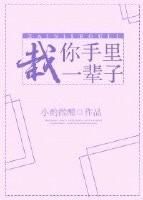 栽你手里一辈子槿淮txt