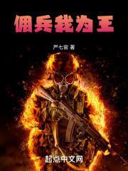 佣兵我为王精校准版