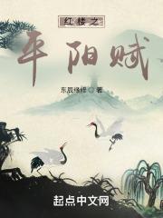 红楼之平阳赋百度百科