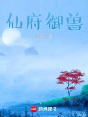 仙府怎么放宠物进去