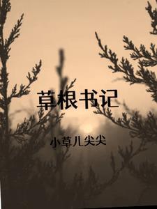 草根书记李天翼全文阅读