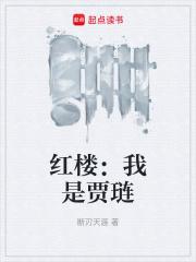 红楼之我是贾琏他哥全文