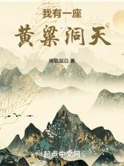我有一座黄金岛txt