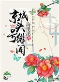 京城头号绯闻和图书