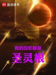 我的投影都是圣灵根无错