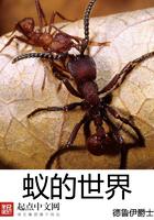 蚁的世界多少字