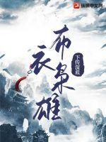 布衣枭雄1至100集