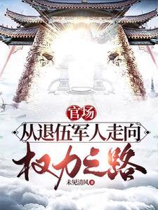 权力巅峰之路大结局