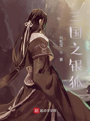 三国之银狐全文TXT