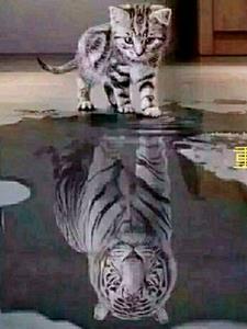 重生之远离前任的gl全文免费阅读