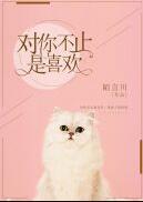 对你不止是喜欢是什么类型的