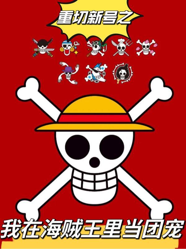 我在海贼做选择