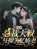 闪婚甜妻总裁大叔宠上天免费