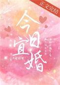 今日宜婚第二部19集播放