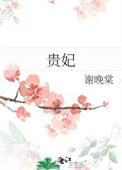 贵妃和皇贵妃有啥区别