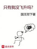 只有我没飞升吗奇书网