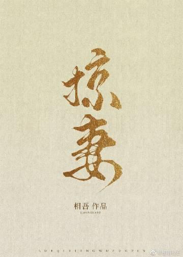 掠妻免费阅读
