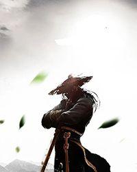 重生之嫡女不善动漫完整版