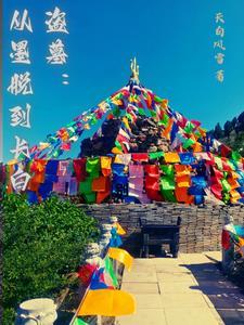 从盗墓开始变强 白毛大粽子