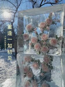 人生若只如初见 歌词