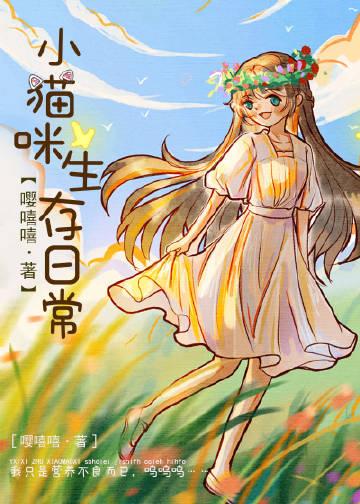 小猫的生活日常视频