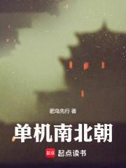 单机南北朝在线观看