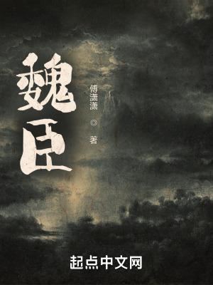 魏臣遗书是什么意思