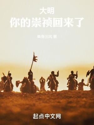 大明当崇祯