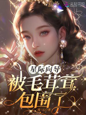 痴迷!向唯一3s级向导献上所有TXT