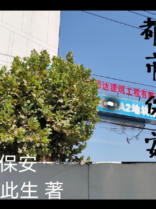 都市保安楚南