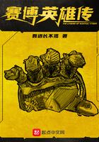 赛博英雄传简介