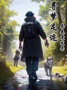 寻梦纪录片