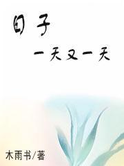 日子一天一天过下一句是什么