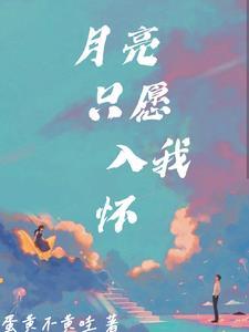月亮入我怀苏打饼干
