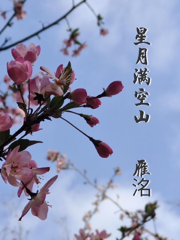 星空满月打一数字是几