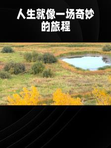 言情的故事100字