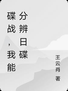 碟战1929