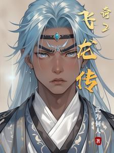 飞龙传41