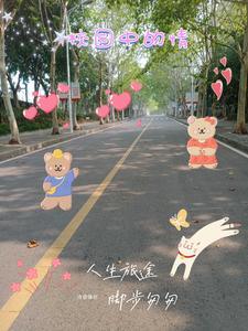 校园情结是什么意思