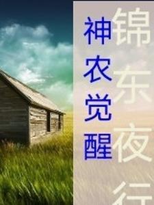 神农氏成就