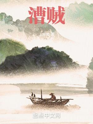 漕贼刘慎全文免费阅读