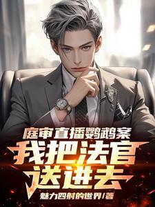 我把法官送进去