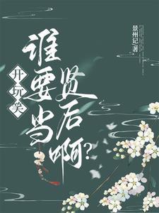 谁要当贤后啊?txt