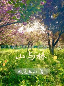 山与林(南京)数字科技有限公司
