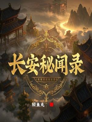 长安秘录案txt